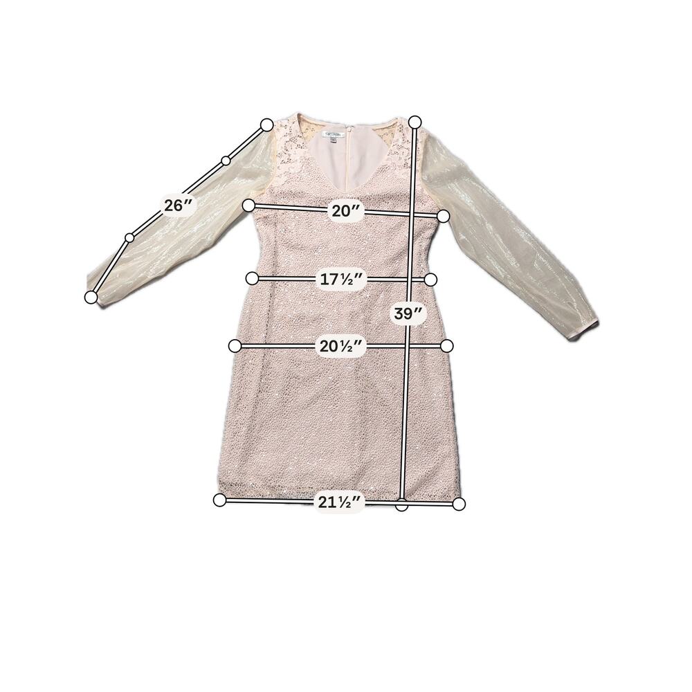 Kay Unger Sheath Dress Womens 12 Blush Pink Sequin Lace Long Sleeve Sheer Boho - Picture 13 of 14